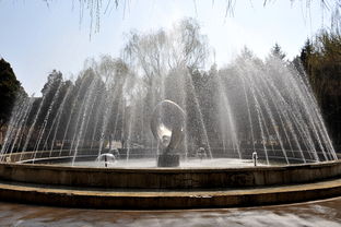 噴泉 動(dòng)靜之間的詩(shī)意